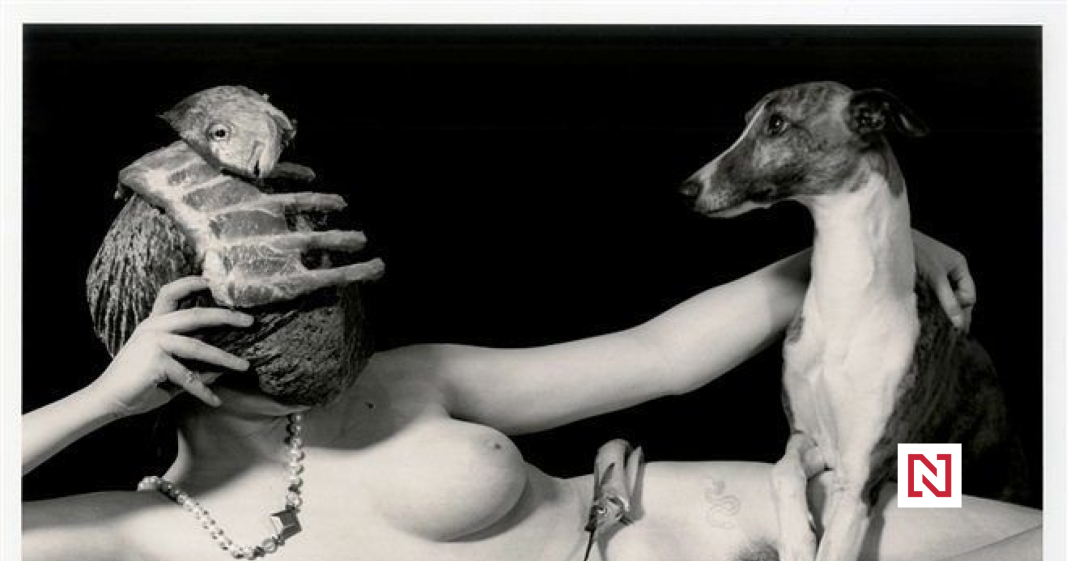 Image: “Celebrating the Courage to Live.” In Witkin’s Fragmented World, Nudity, Skulls, and “The Great Masturbator” Trump Intertwine