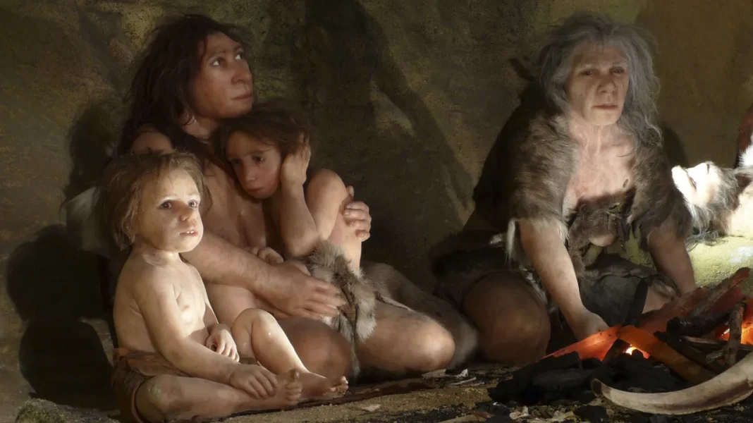 Scientists Describe Selective Cannibalism in Neanderthals