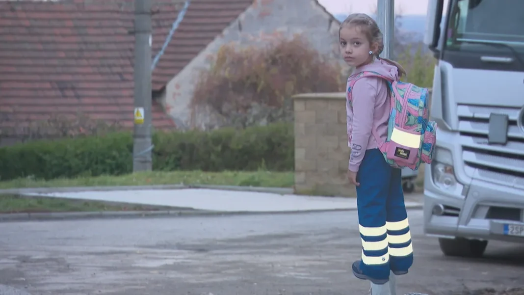 Schoolchild Mannequins Replacing Radar: Tackling Theft and Vandalism Issues in Prague