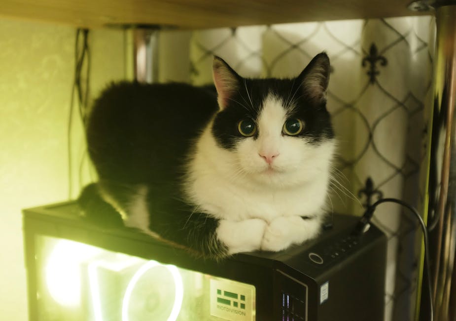 Ukraine Anti-Corruption Office Searches Home of Zelensky’s Chief of Staff Yermak