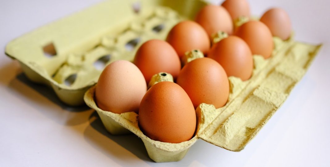 Will Bird Flu and New EU Law Increase Czech Christmas Costs?