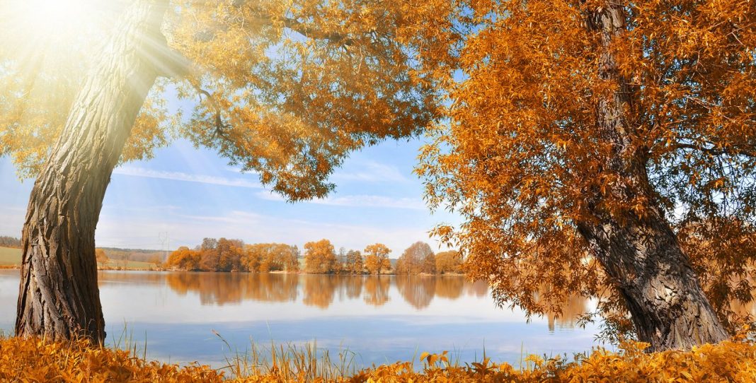 Sunny ‘granny summer’ coming this week – what’s behind the Czech name?