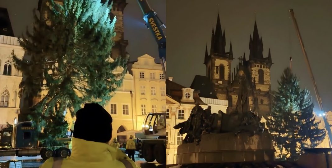 Prague’s Old Town Square Unveils its Iconic Christmas Tree for the Holidays