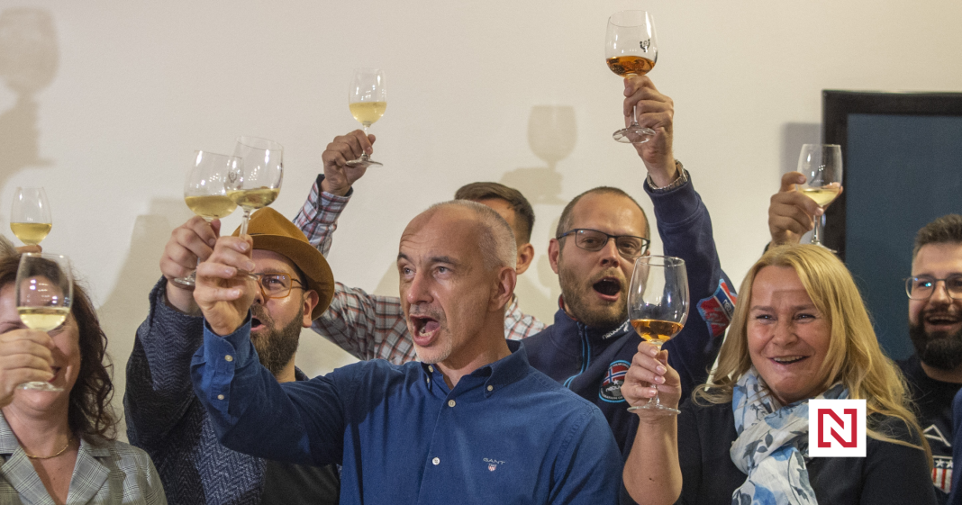 Popular Governor’s New Movement: Changes for Czech Right-Wing Politics