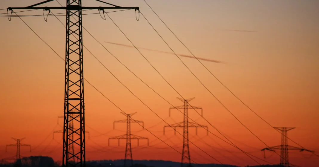 Who Was Petr Fiala Hiding Contraceptives From?