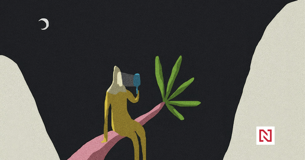 Are Social Media Platforms Dying? What’s Next for Our Online Experience?