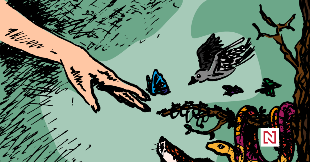 How Culture Can Play a Key Role: Factors Influencing Nature Conservation and Pathways Out of Global Crises