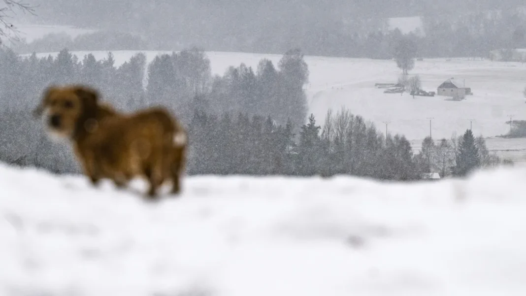 Snow and Below-Average Temperatures Expected as Year Turns in Prague