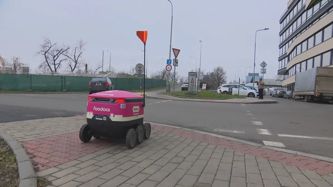 Robots in Restaurants and Shops: Expanding Roles in Daily Life