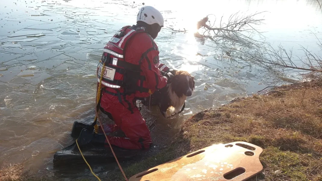Amazing Heroes: Woman Thanks Rescuers Who Saved Her Dog from a Frozen Pond in Královéhradecko