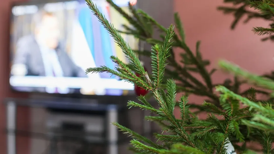 Psychologist’s Advice: Avoid Discussing Politics During Christmas