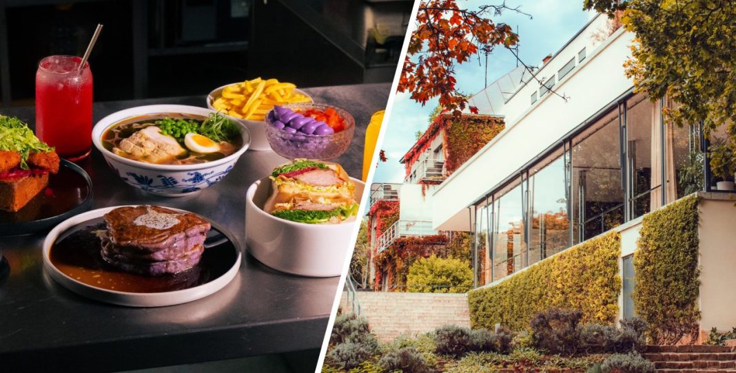 Why Brno is Emerging as a Top European Travel Destination in 2026