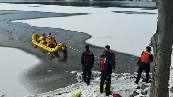 Firefighters Rescue Dog After Falling Through Ice on Lake
