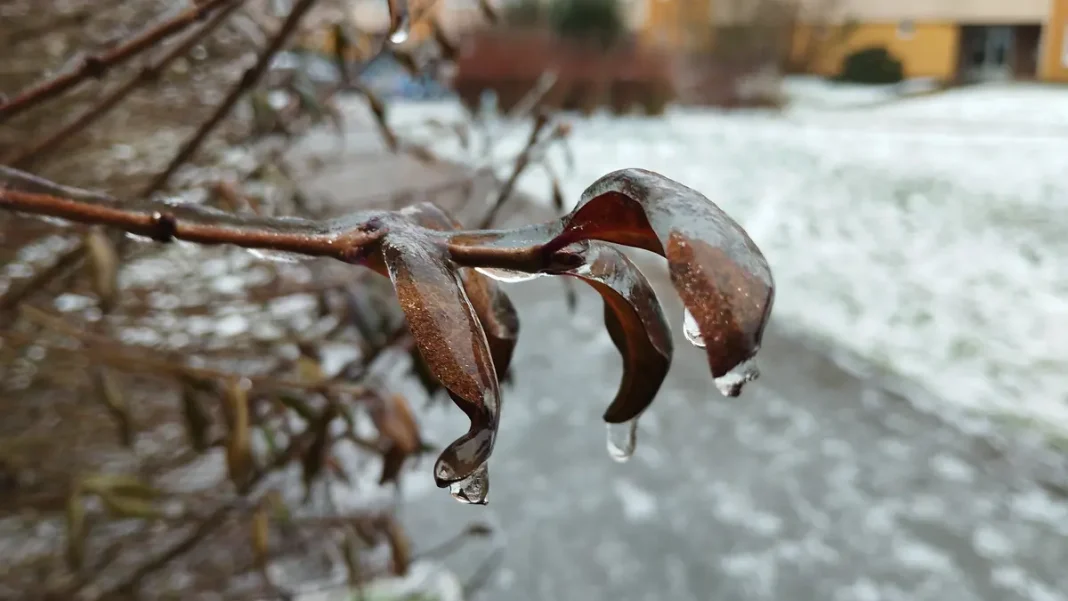 Thaw Expected in the Czech Republic – Latest News