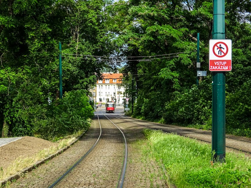 Severe Frosts Expected: Meteorologists Issue Warning