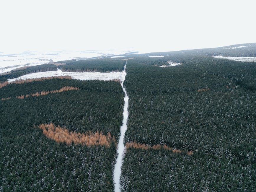 North Korea Conducts First Missile Tests of the Year