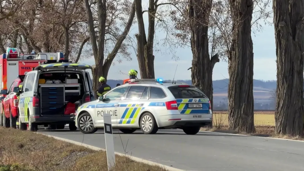 Tragic Accident in Melnik District: Driver Dies After Car Hits Tree