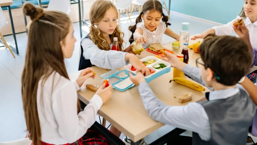 Babis Proposes Delay in School Meal Reforms, Yet to Discuss with Coalition Partners