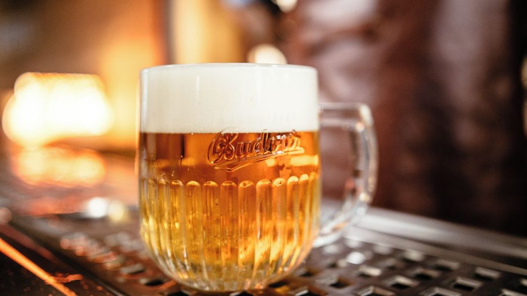 Record-Breaking Year for Budějovický Budvar: Nearly Two Million Hectoliters of Beer Sold